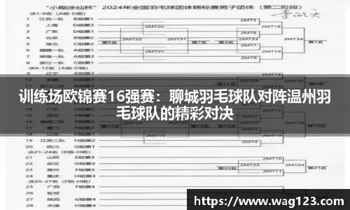 训练场欧锦赛16强赛：聊城羽毛球队对阵温州羽毛球队的精彩对决